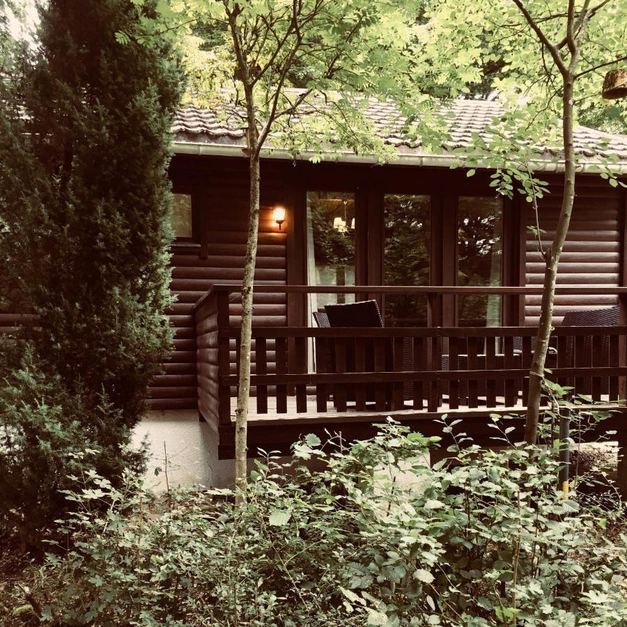 Chalet234 In La Boverie Rendeux Dış mekan fotoğraf
