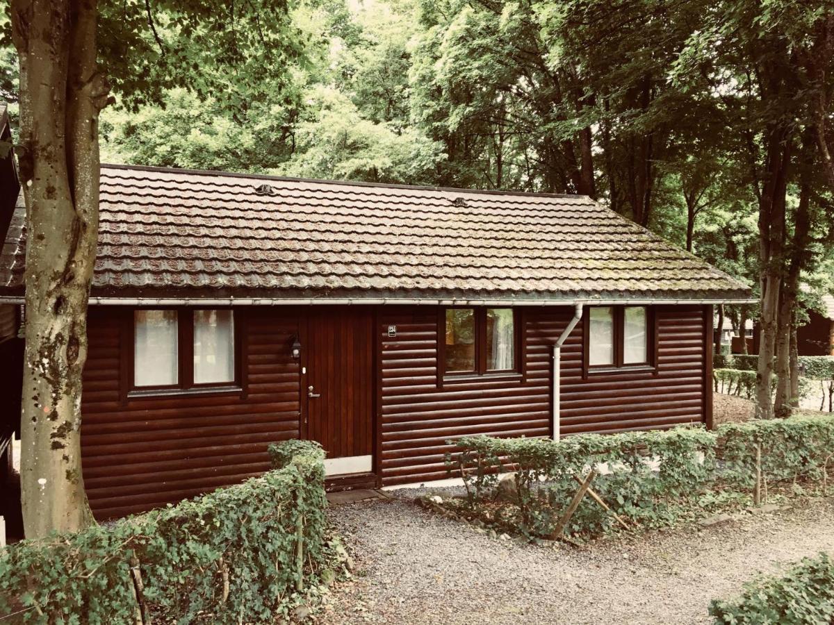 Chalet234 In La Boverie Rendeux Dış mekan fotoğraf
