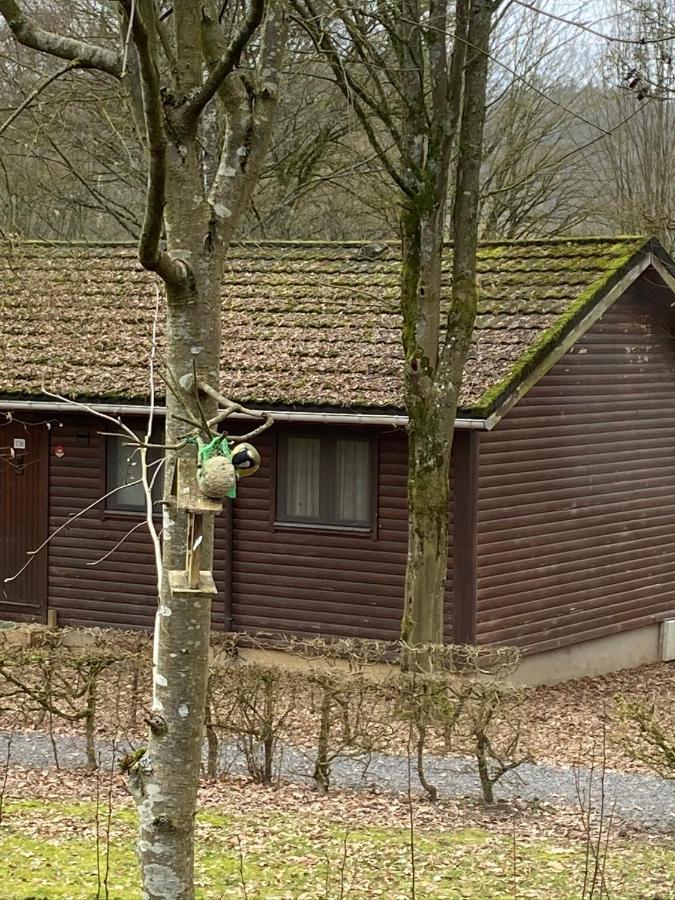 Chalet234 In La Boverie Rendeux Dış mekan fotoğraf